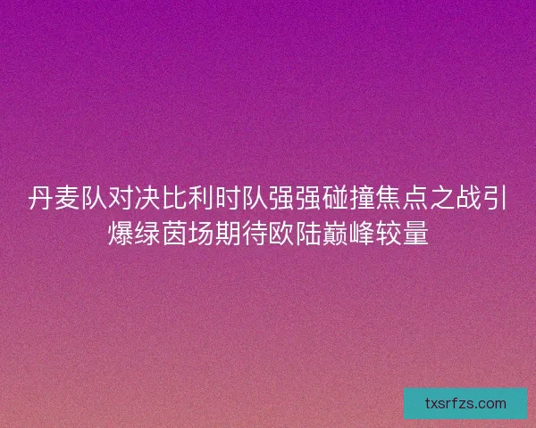 丹麦队对决比利时队强强碰撞焦点之战引爆绿茵场期待欧陆巅峰较量