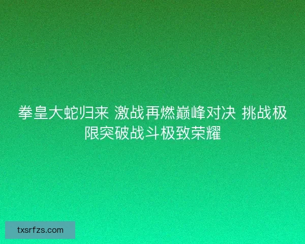 拳皇大蛇归来 激战再燃巅峰对决 挑战极限突破战斗极致荣耀