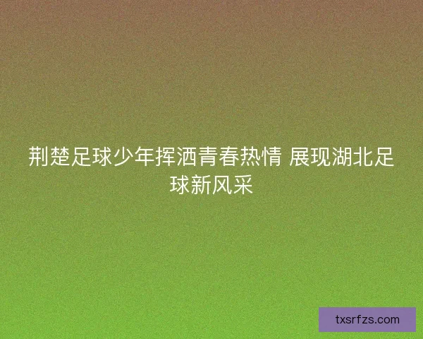 荆楚足球少年挥洒青春热情 展现湖北足球新风采 荆楚足球少年挥洒青春热情 展现湖北足球新风采