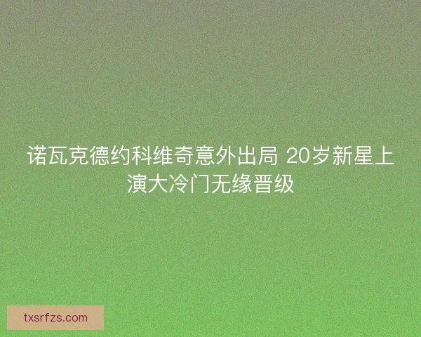 诺瓦克德约科维奇意外出局 20岁新星上演大冷门无缘晋级 诺瓦克德约科维奇意外出局 20岁新星上演大冷门无缘晋级